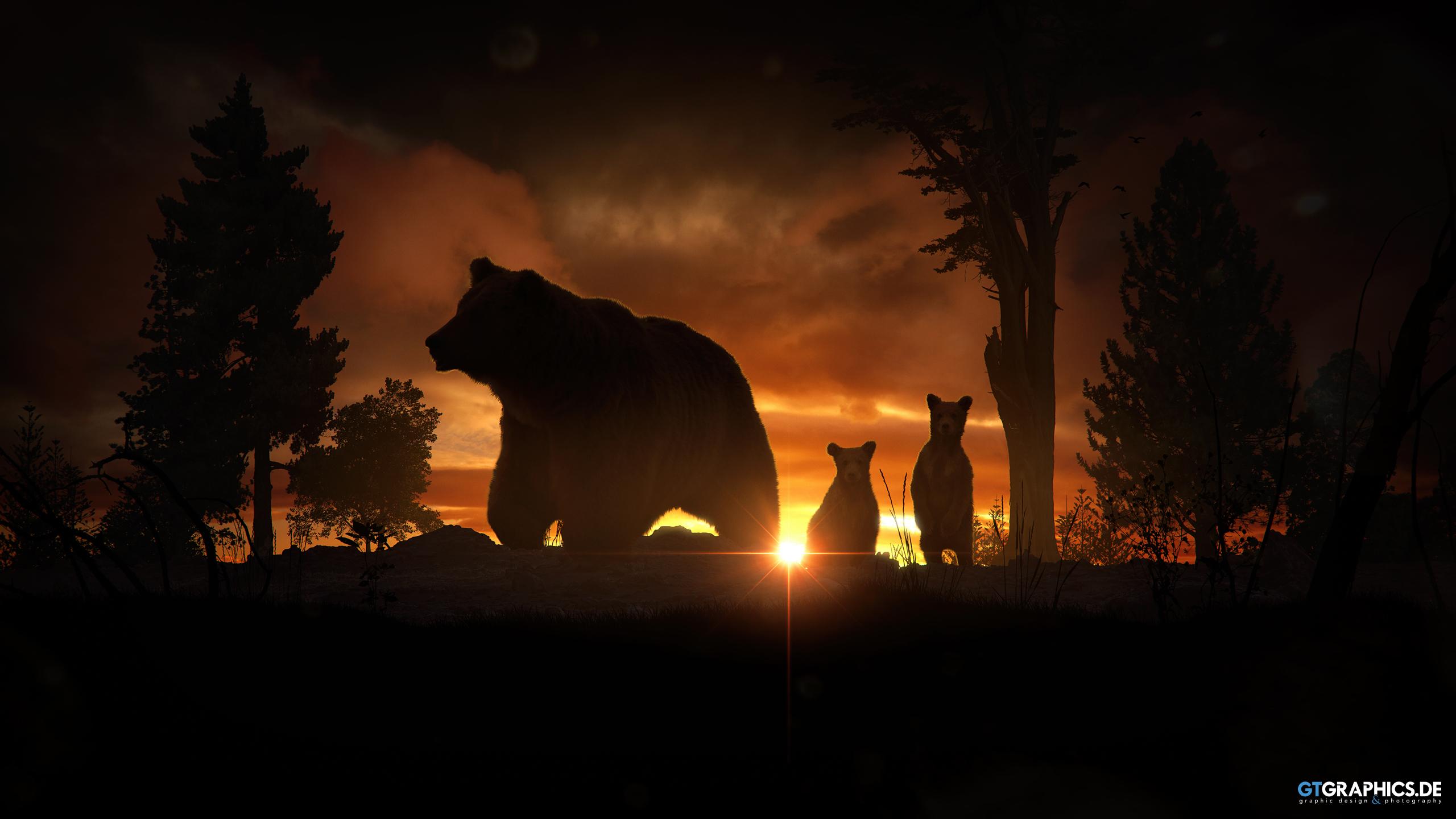 Animals of the Dawn - Bear