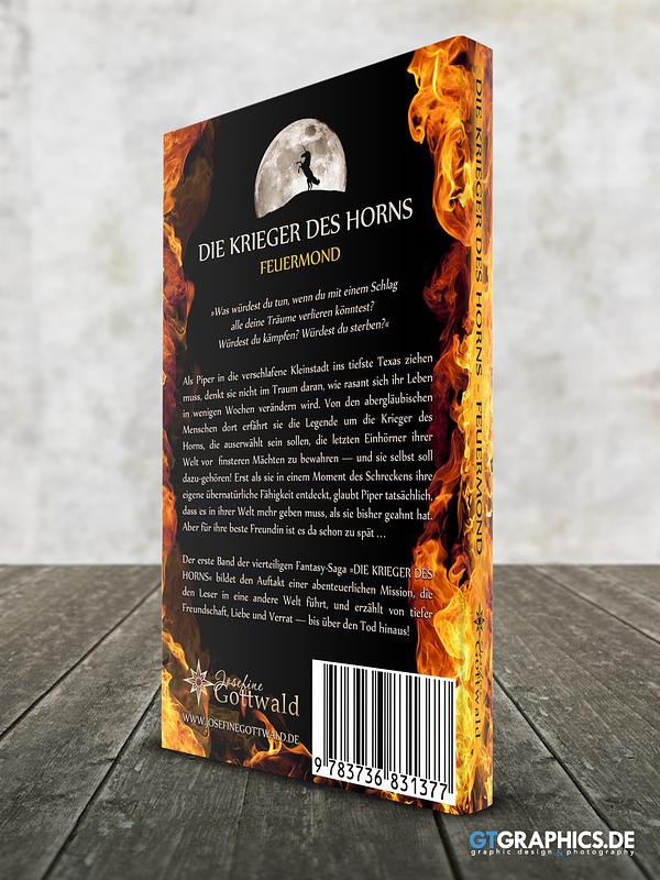 Book Series "Die Krieger des Horns"